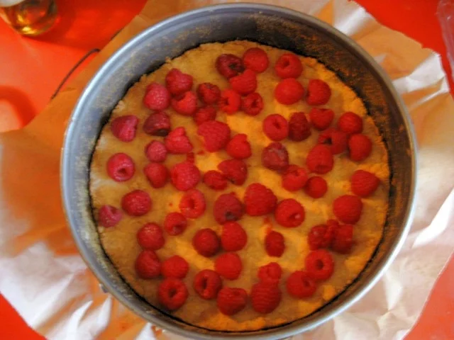 Himbeeren Streuselkuchen - Rezept - Bild Nr. 3777