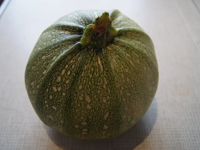 Rezept: Gebratene Zucchinischeiben mit Tartarska Omacka Bild Nr. 3786 Gebratene Zucchinischeiben mit Tartarska Omacka - Rezept - Bild Nr. 3786