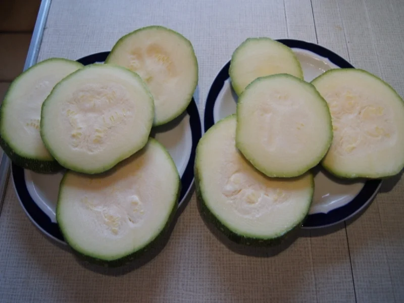 Rezept: Gebratene Zucchinischeiben mit Tartarska Omacka Bild Nr. 3800 Gebratene Zucchinischeiben mit Tartarska Omacka - Rezept - Bild Nr. 3800