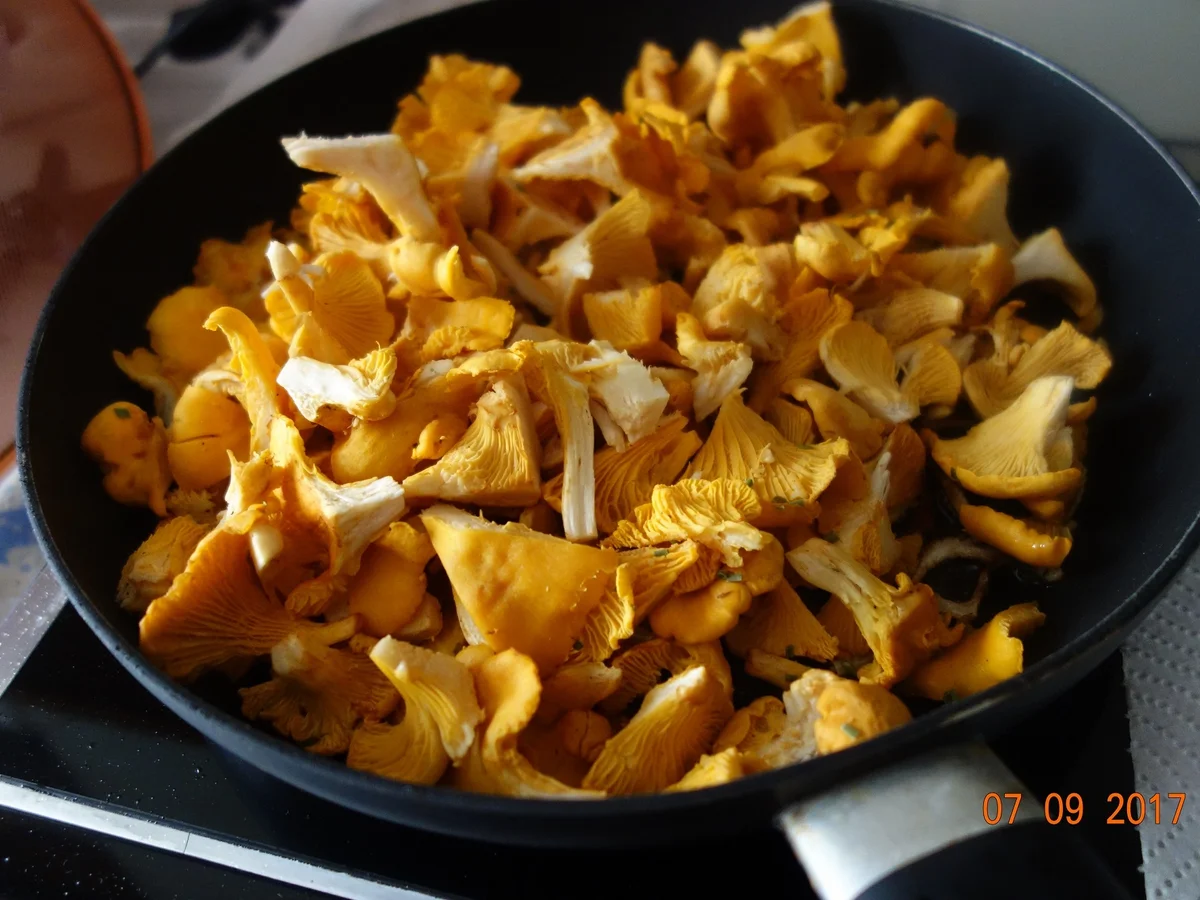 Rezept: Schwammerlzeit - Recherlzeit Bild Nr. 3788 Schwammerlzeit - Recherlzeit - Rezept - Bild Nr. 3788