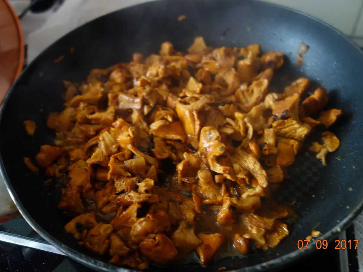 Rezept: Schwammerlzeit - Recherlzeit Bild Nr. 3791 Schwammerlzeit - Recherlzeit - Rezept - Bild Nr. 3791