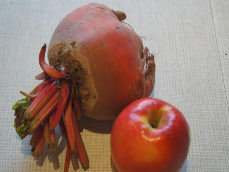 Weißer-frischer-Rote-Beete-Salat - Rezept - Bild Nr. 3789