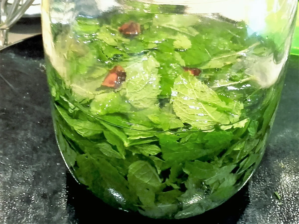 Minze Likör - Pfefferminz Likör - Rezept - Bild Nr. 3793