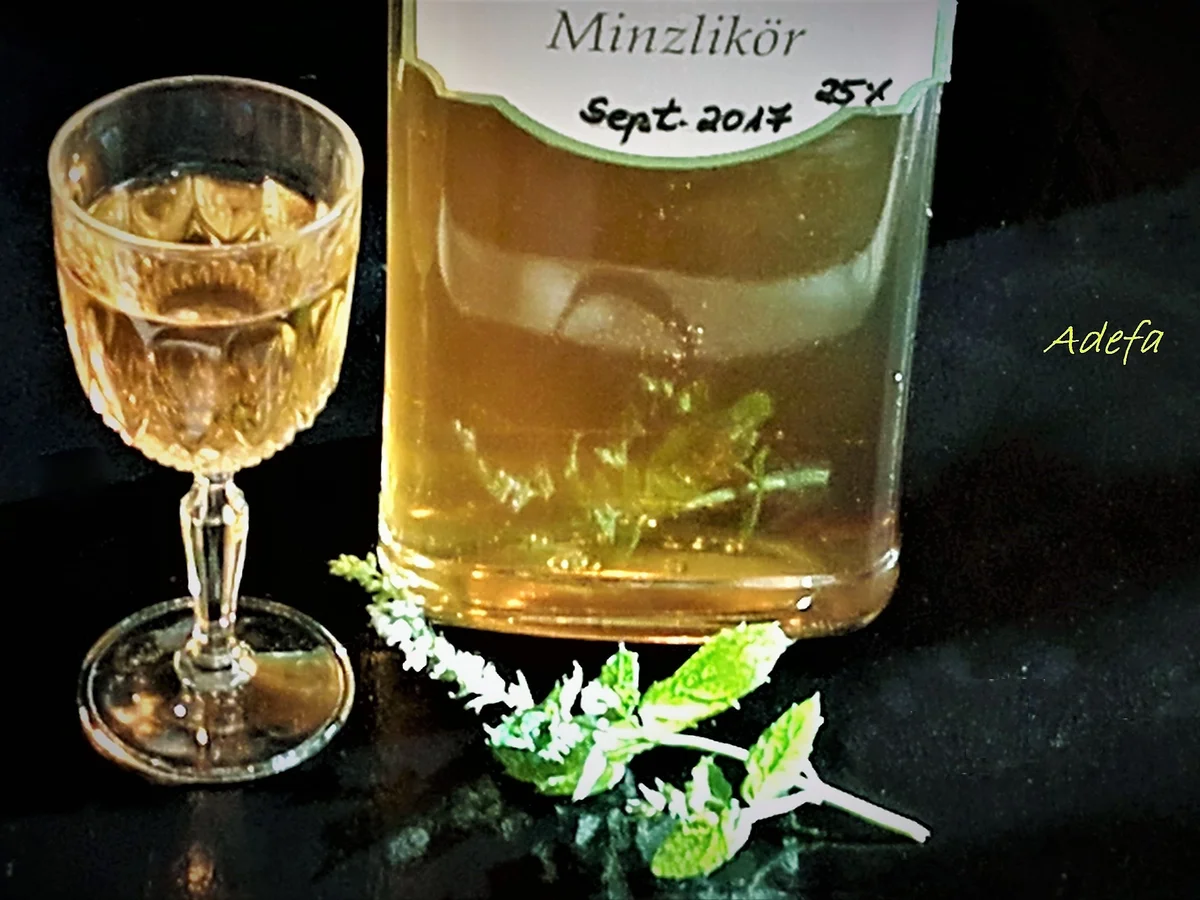Minze Likör - Pfefferminz Likör - Rezept - Bild Nr. 3802