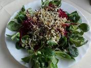 Feldsalat mit gekeimten Mungbohnen und Hafer - Rezept - Bild Nr. 3798