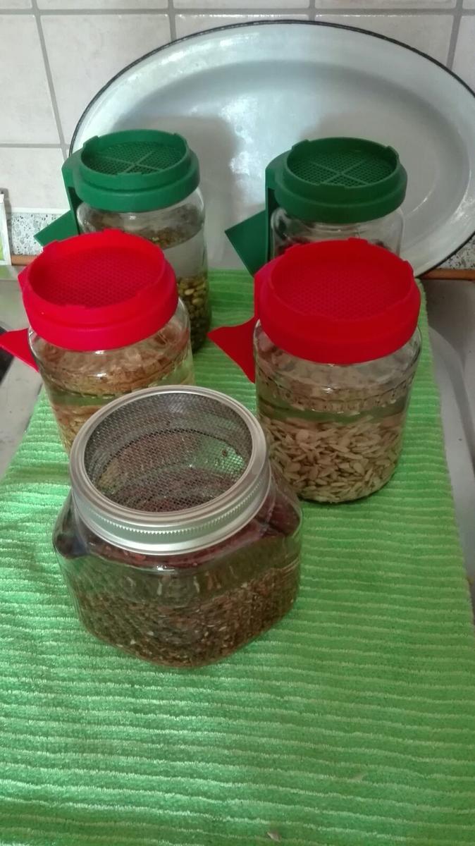 Feldsalat mit gekeimten Mungbohnen und Hafer - Rezept - Bild Nr. 3799