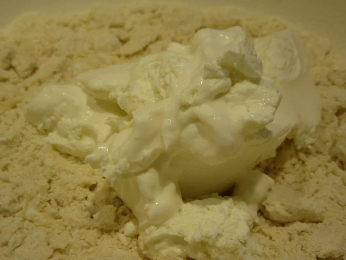 Pikantes Backen: Lohengrin-Wähe - Rezept - Bild Nr. 3800