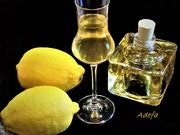 Zitronen -  Likör - Rezept - Bild Nr. 3809