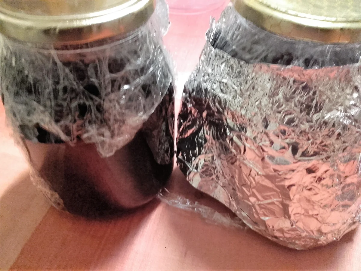 Rezept: Wilde - Brombeeren - Likör Bild Nr. 3810 Wilde - Brombeeren - Likör - Rezept - Bild Nr. 3810