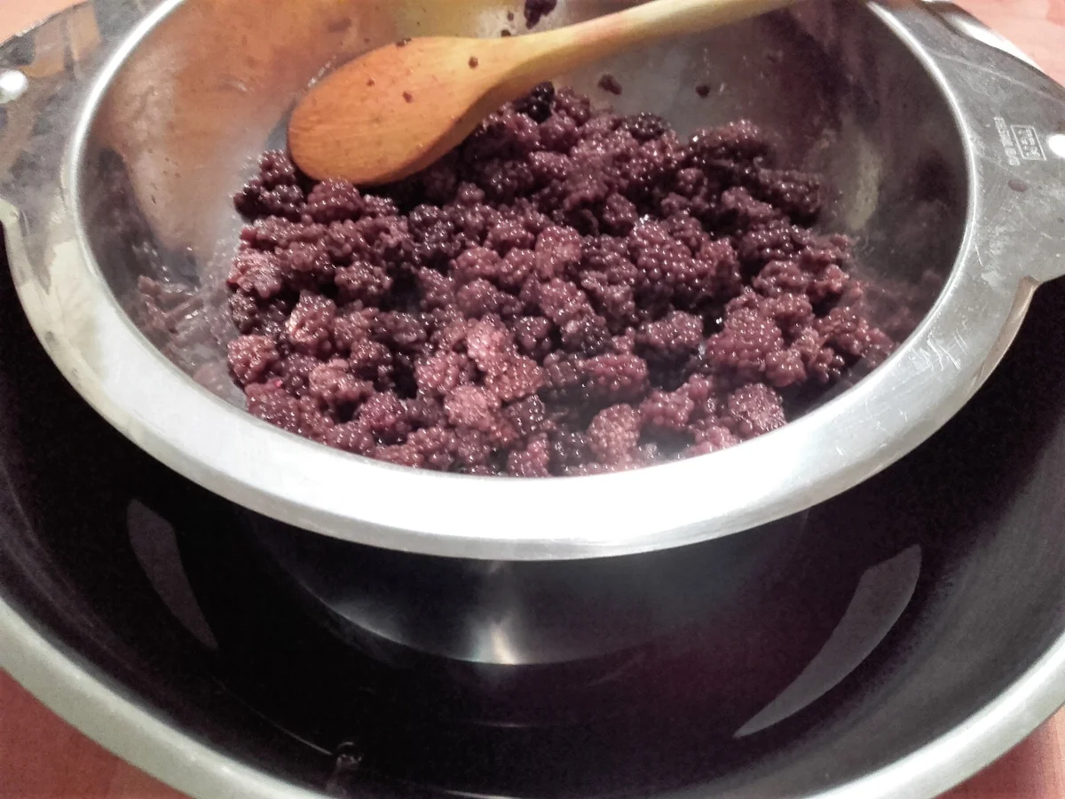 Rezept: Wilde - Brombeeren - Likör Bild Nr. 3811 Wilde - Brombeeren - Likör - Rezept - Bild Nr. 3811