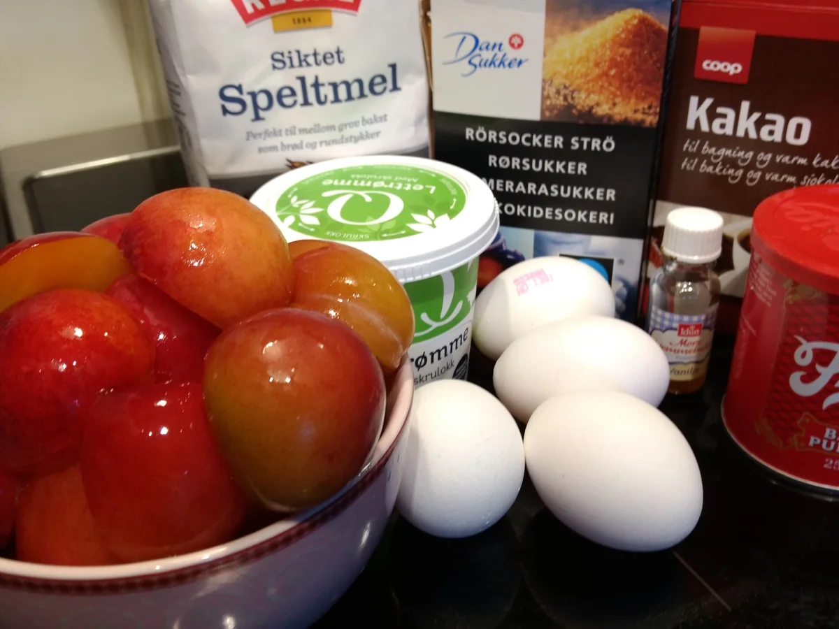 BiNe` S PFLAUMEN - STREUSELKUCHEN - Rezept - Bild Nr. 3809