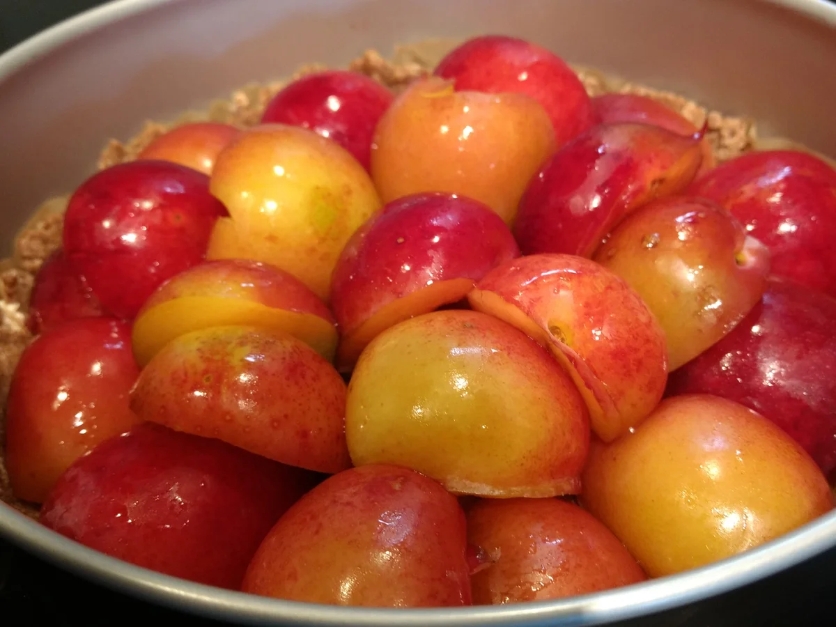 BiNe` S PFLAUMEN - STREUSELKUCHEN - Rezept - Bild Nr. 3812