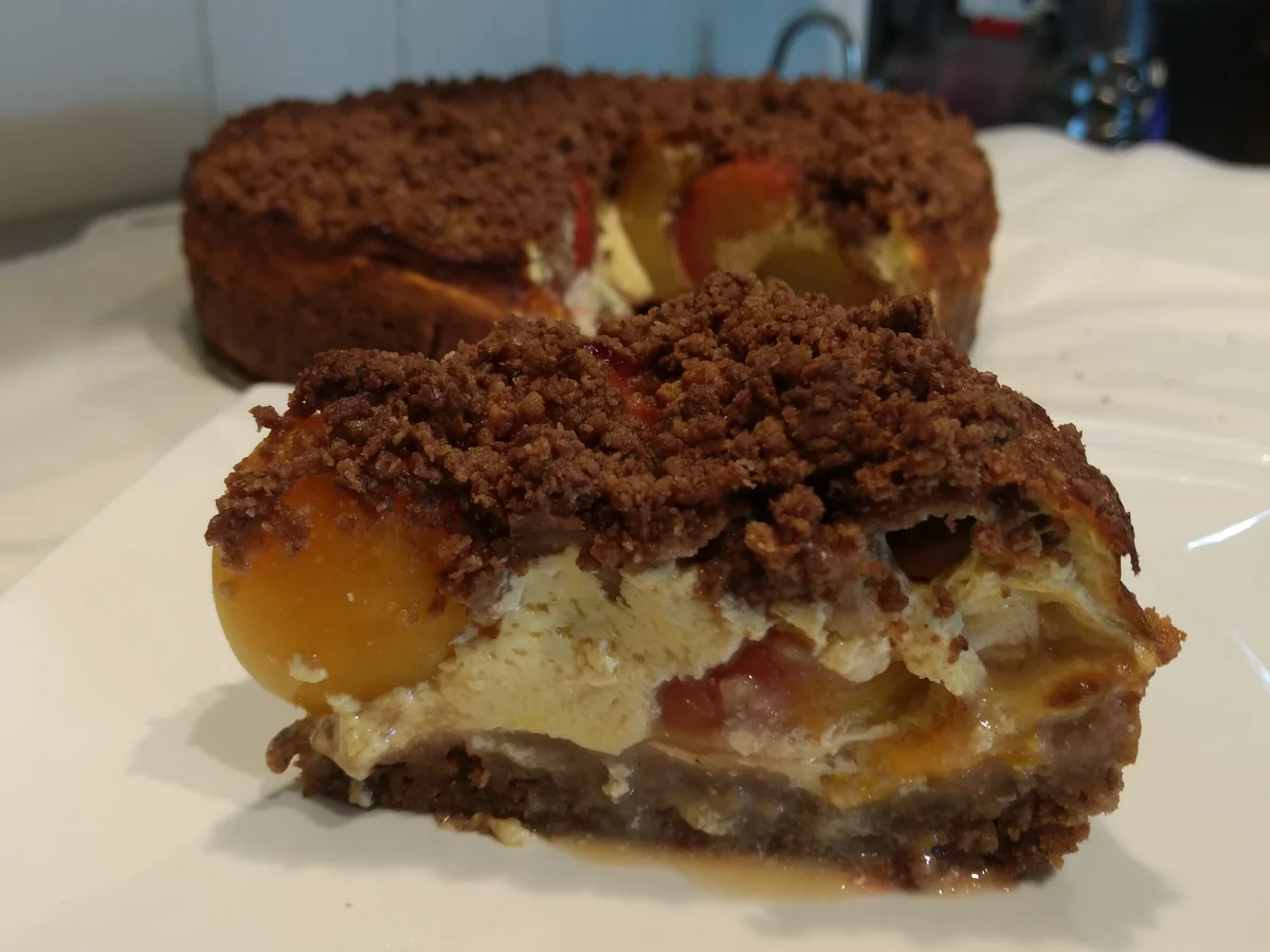 BiNe` S PFLAUMEN - STREUSELKUCHEN - Rezept - Bild Nr. 3816