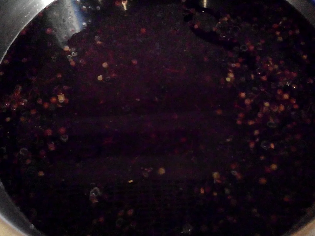 Rezept: Holunder Likör mit Weizenkorn und 14 Prozent Alkohol Bild Nr. 3815 Holunder Likör mit Weizenkorn und 14 Prozent Alkohol - Rezept - Bild Nr. 3815