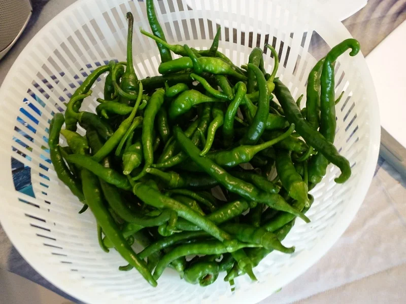 Grünes Chiliöl nach meiner Art - Rezept - Bild Nr. 3813