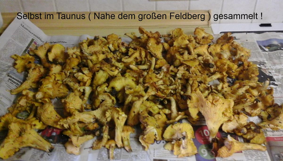 Schnitzel mit Rahmpfifferlingen und Spätzle - Rezept - Bild Nr. 3841