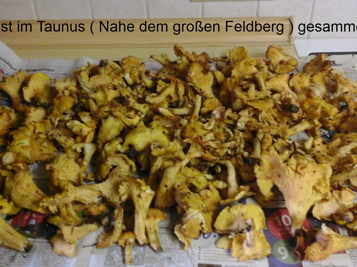 Rezept: Schnitzel mit Rahmpfifferlingen und Spätzle Bild Nr. 3841 Schnitzel mit Rahmpfifferlingen und Spätzle - Rezept - Bild Nr. 3841