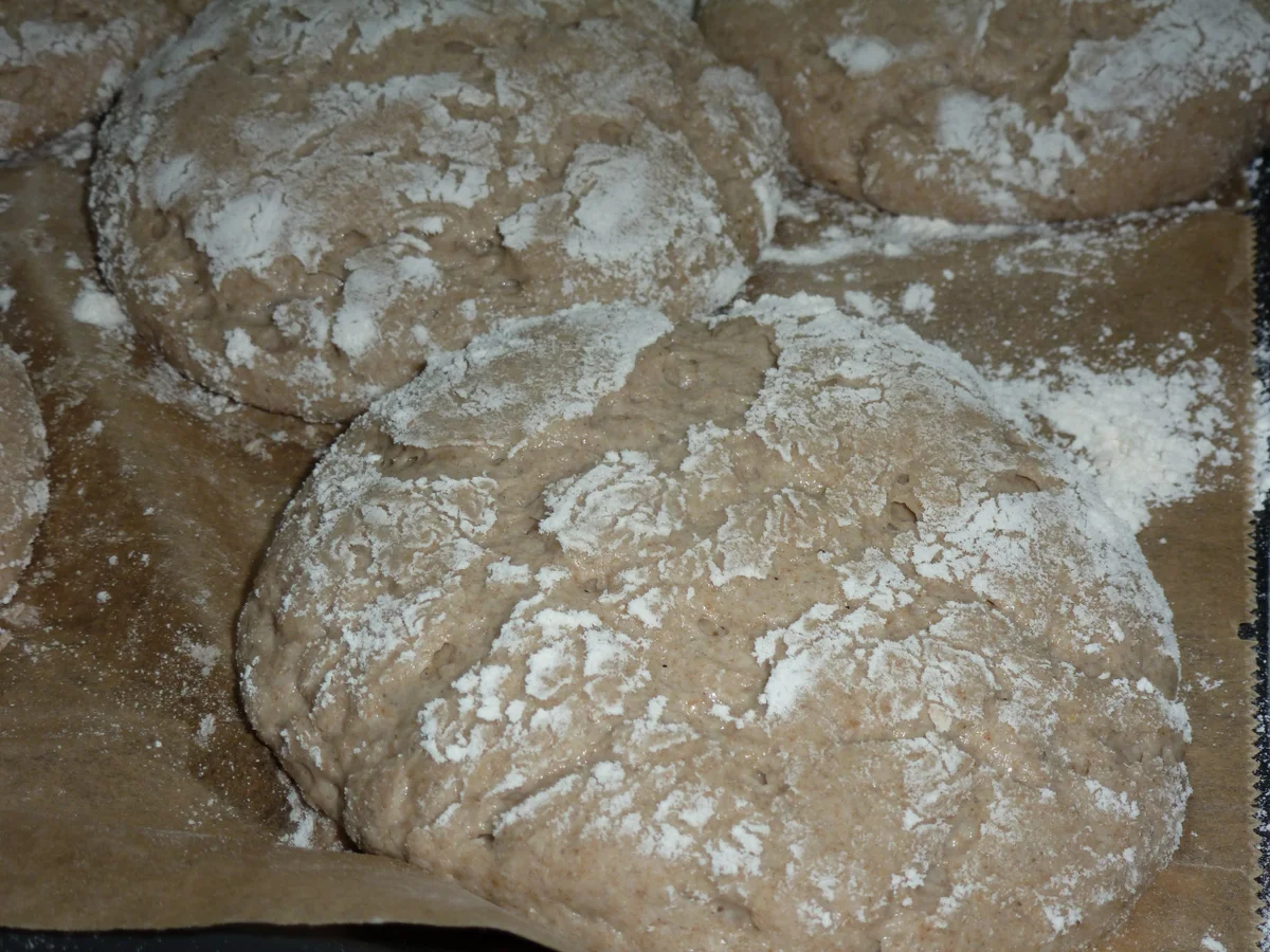 Alm-Fladen - Rezept - Bild Nr. 3830