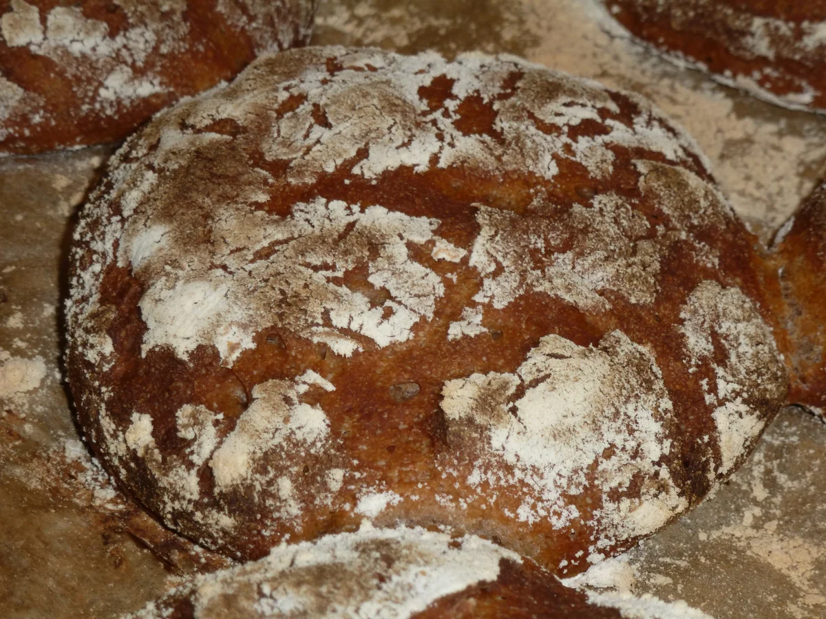 Alm-Fladen - Rezept - Bild Nr. 3832