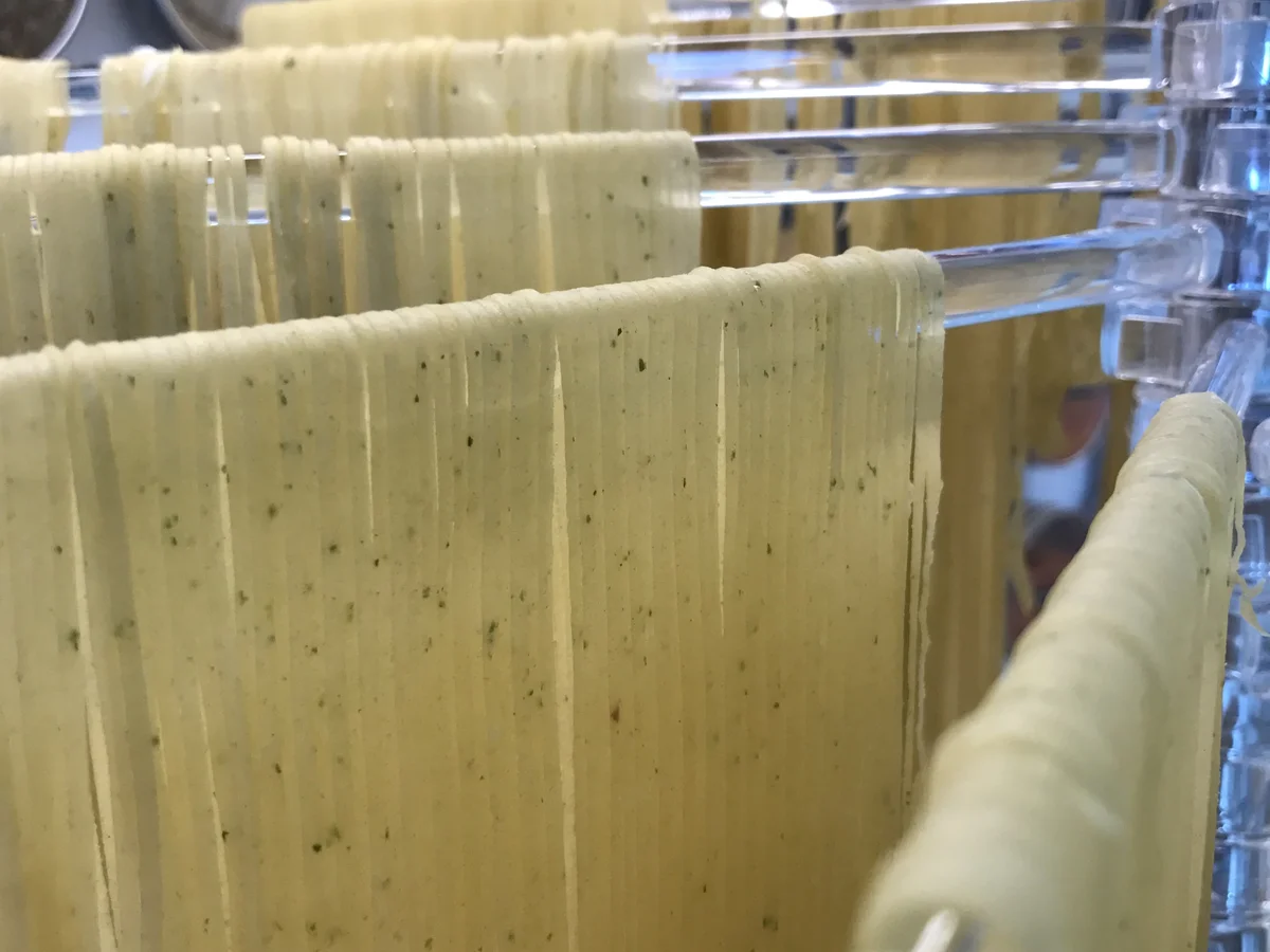 Nudelteig mit Pesto - Rezept - Bild Nr. 3828