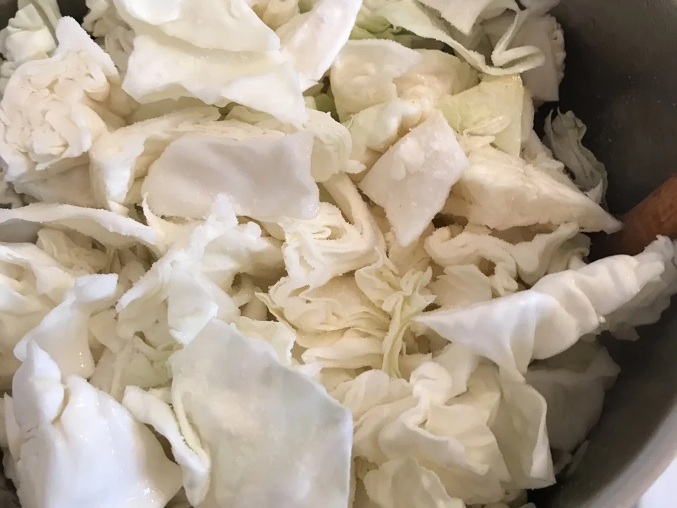 Weißkohl - Eintopf - Rezept - Bild Nr. 3830