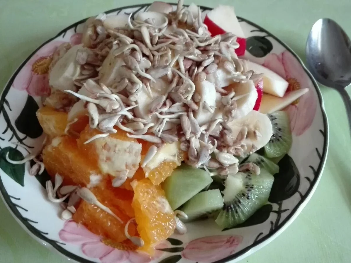 Obst - Frühstück mit gekeimten Sonnenblumenkernen - Rezept - Bild Nr. 3825