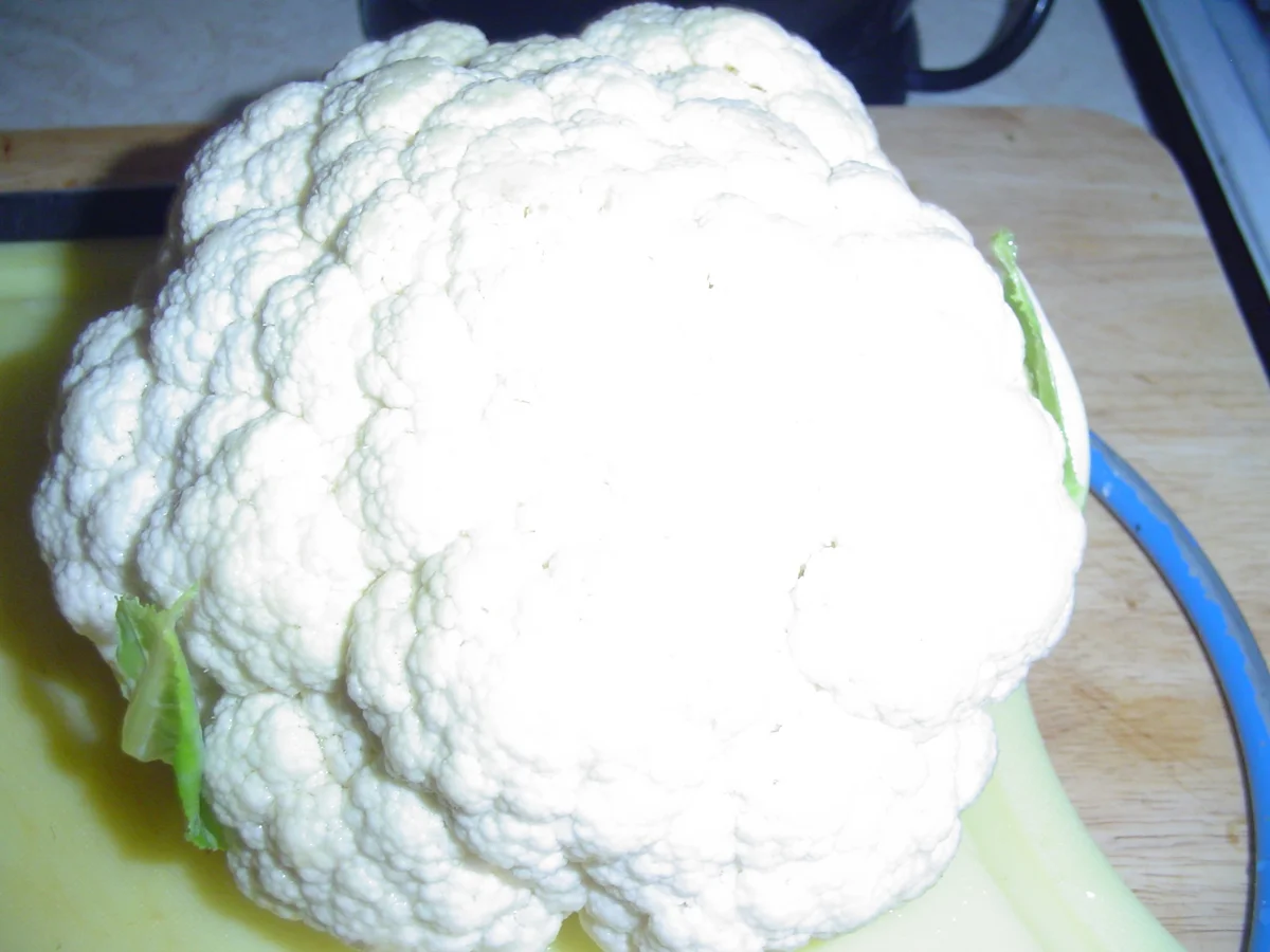 Jetzt ist Eintopfzeit - Rezept - Bild Nr. 3831