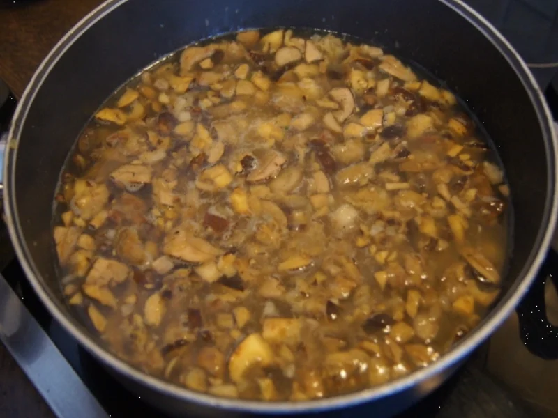 Waldpilzsuppe mit Petersilienkartoffeln - Rezept - Bild Nr. 3833