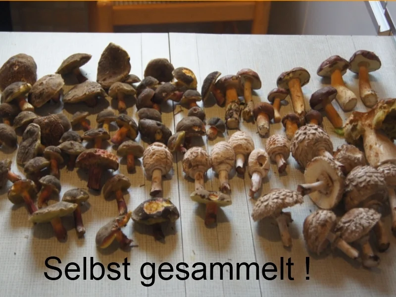 Waldpilzsuppe mit Petersilienkartoffeln - Rezept - Bild Nr. 3841