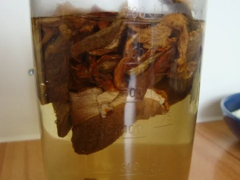 Kartoffel-Pilz Töpfchen - Rezept - Bild Nr. 3859