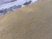 Grieß - Nudeln - Rezept - Bild Nr. 3851