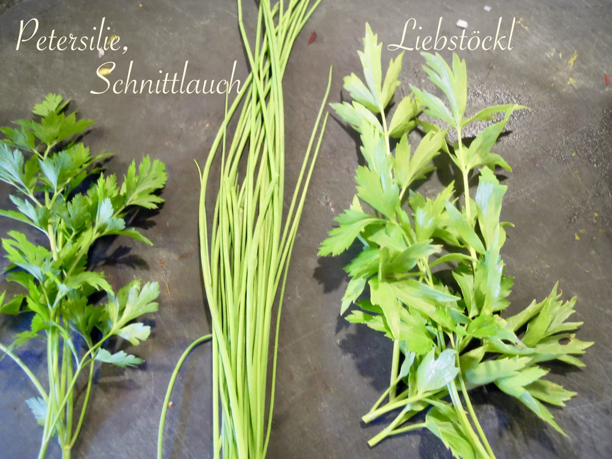 Rezept: rotes Kürbis Kokos Süppchen Bild Nr. 3878 rotes Kürbis Kokos Süppchen - Rezept - Bild Nr. 3878