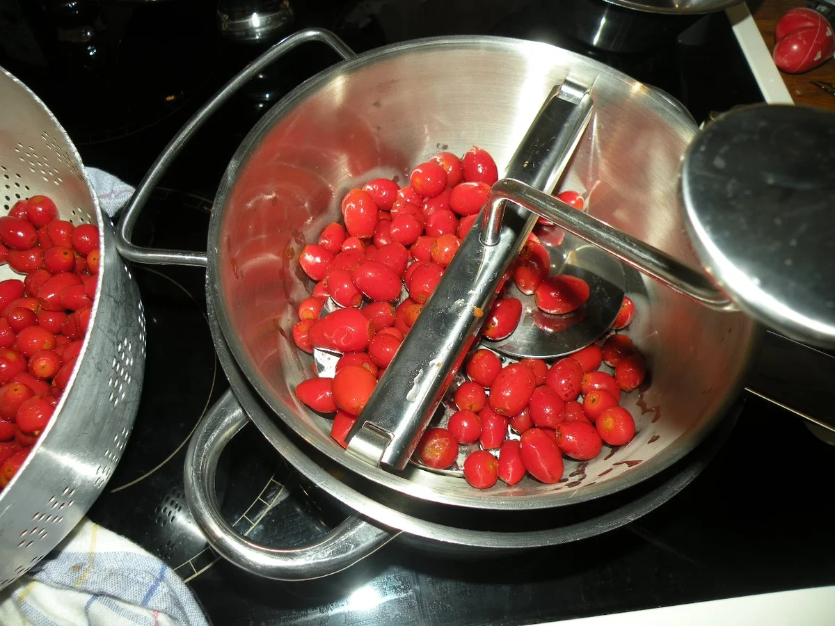 Rezept: Hagebuttenkonfitüre Bild Nr. 3 Hagebuttenkonfitüre - Rezept - Bild Nr. 3