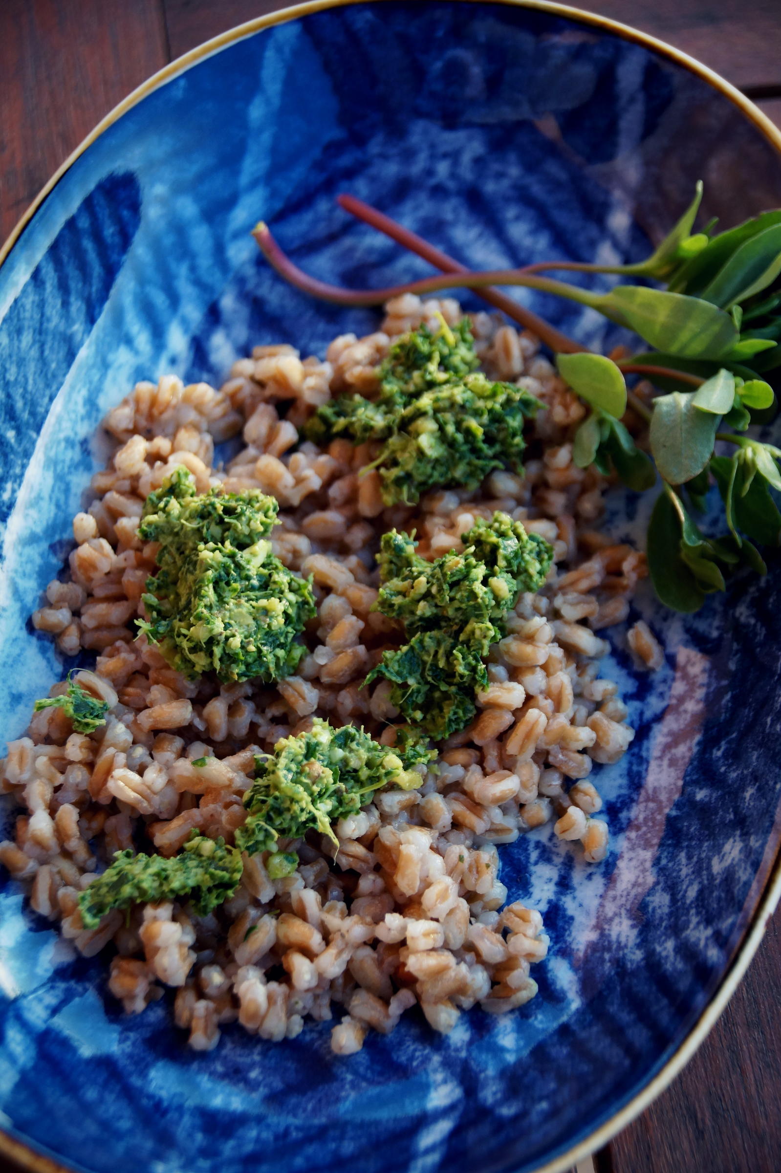 Bilder für Dip; Grünkohl-Walnuss-Pesto - Rezept