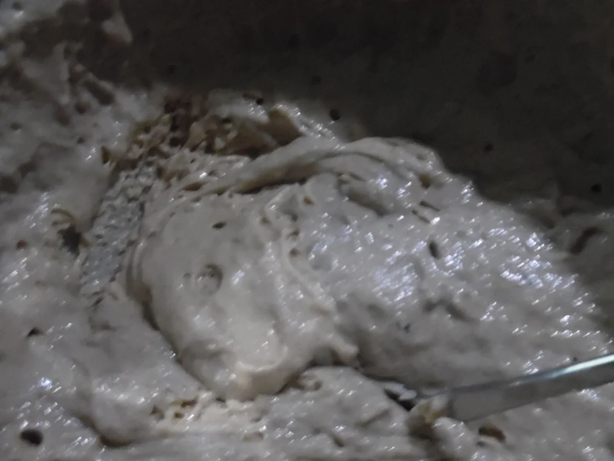 Krustenbrot "Tiroler Art" - Rezept - Bild Nr. 3880