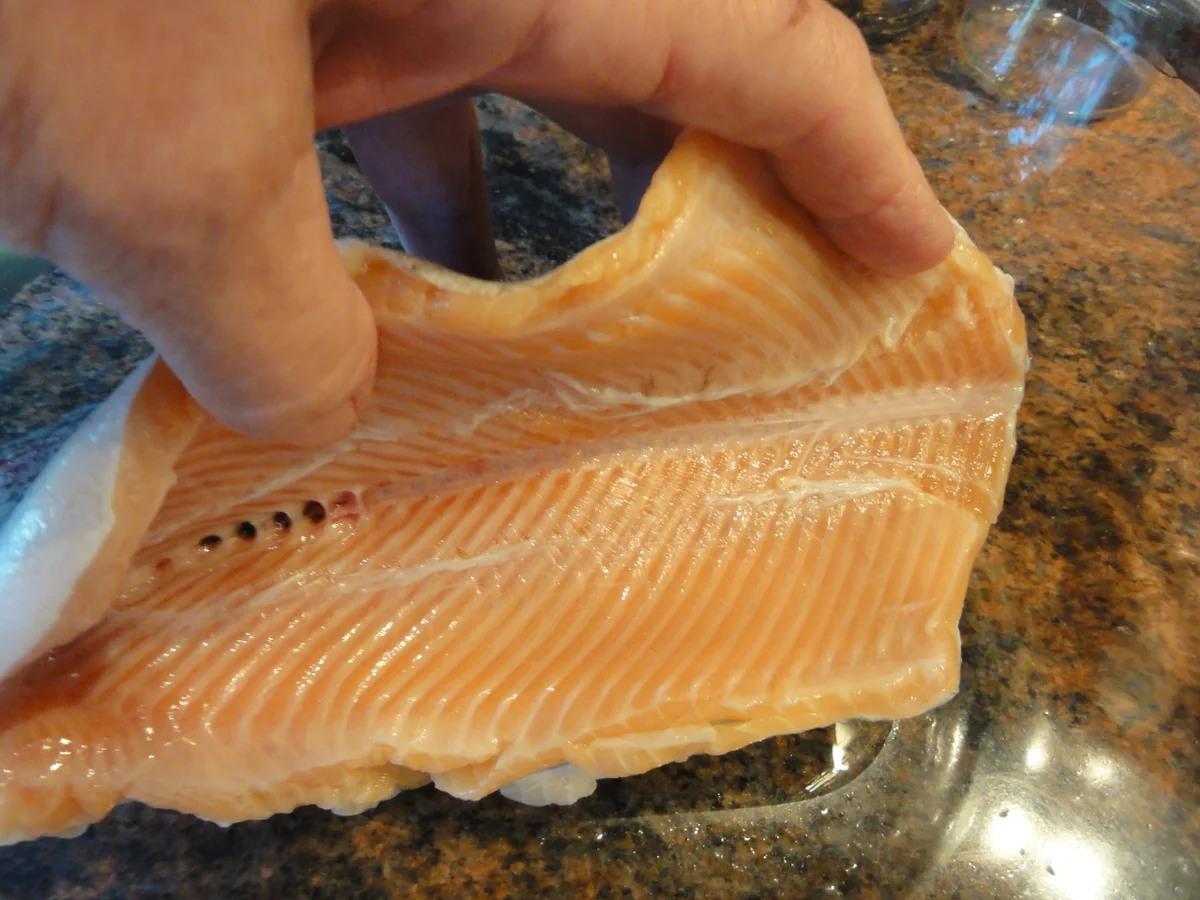 Fisch:   LACHSFORELLE  gedünstet - Rezept - Bild Nr. 3914