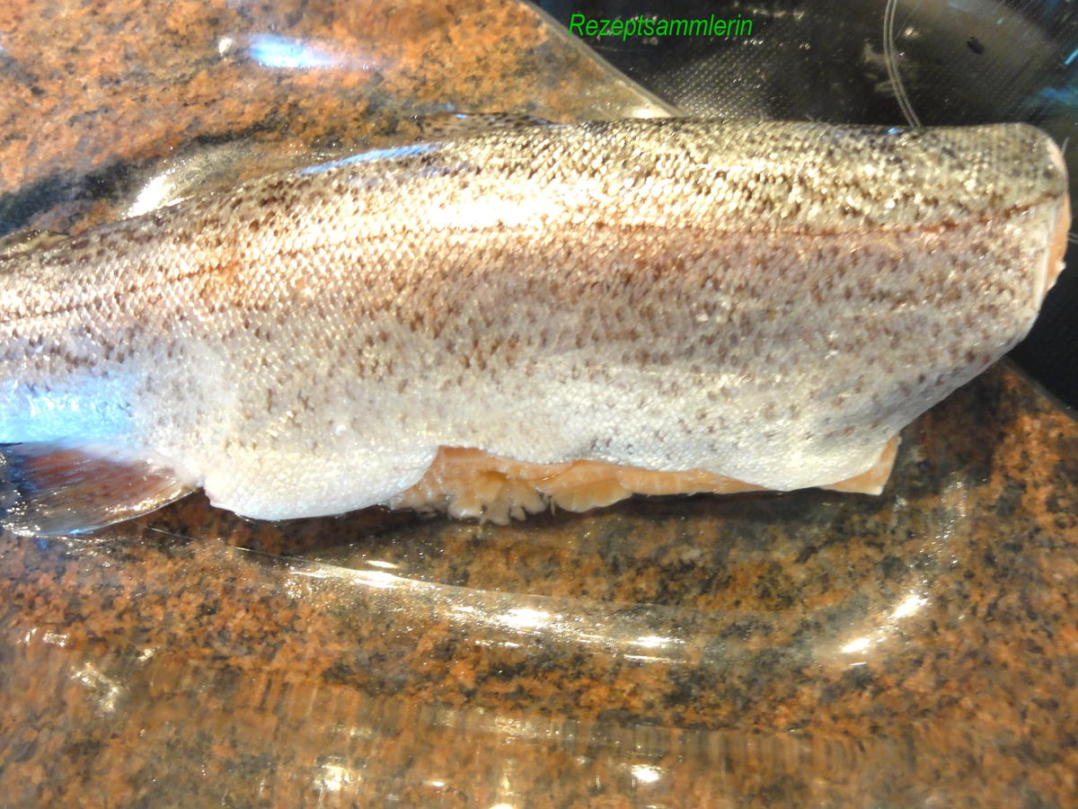 Fisch:   LACHSFORELLE  gedünstet - Rezept - Bild Nr. 3915