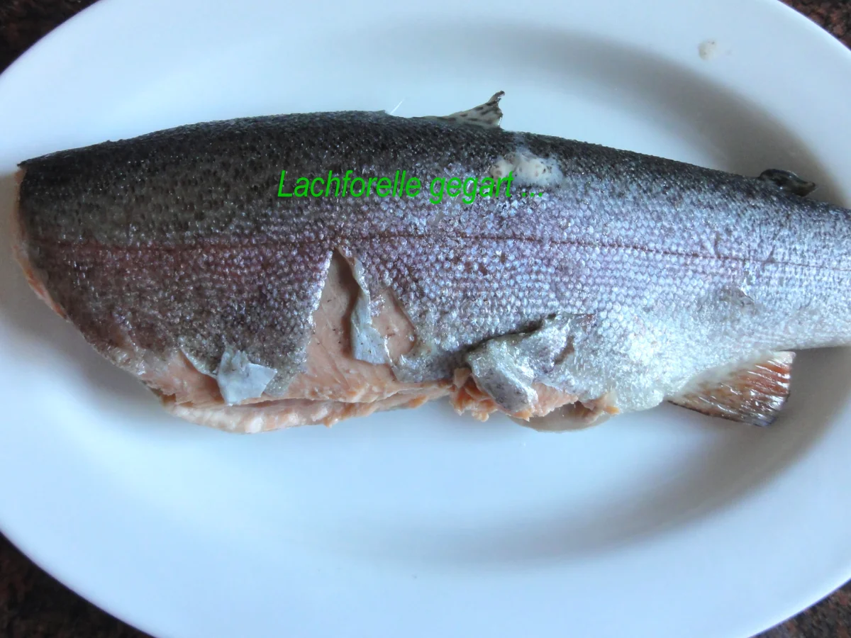 Fisch:   LACHSFORELLE  gedünstet - Rezept - Bild Nr. 3916