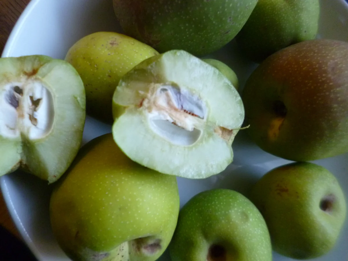 Quittengelee mit Zitrone - Rezept - Bild Nr. 3912