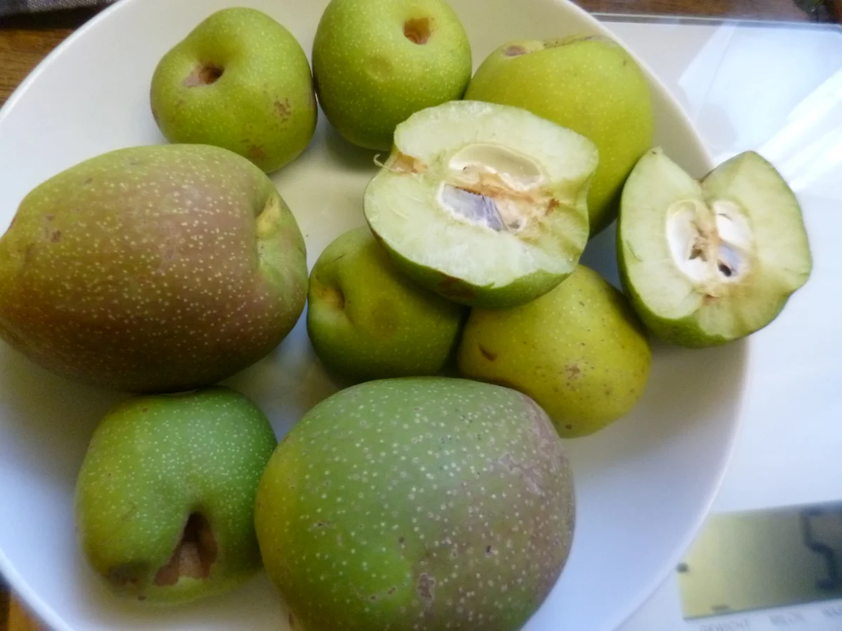 Rezept: Quittenmus mit Apfel und Mandarine Bild Nr. 3913 Quittenmus mit Apfel und Mandarine - Rezept - Bild Nr. 3913