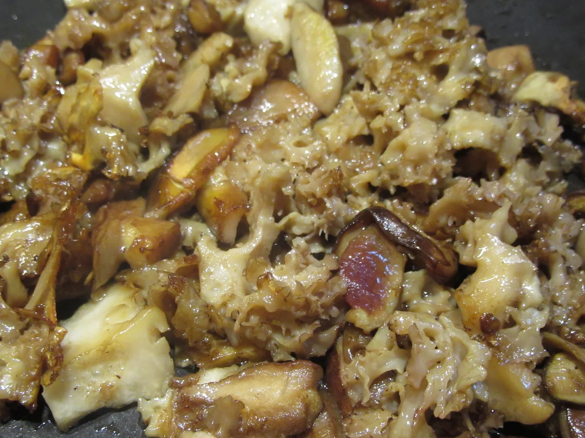 Wild: Wildschweinbraten in Waldpilz-Sahne - Rezept - Bild Nr. 3917