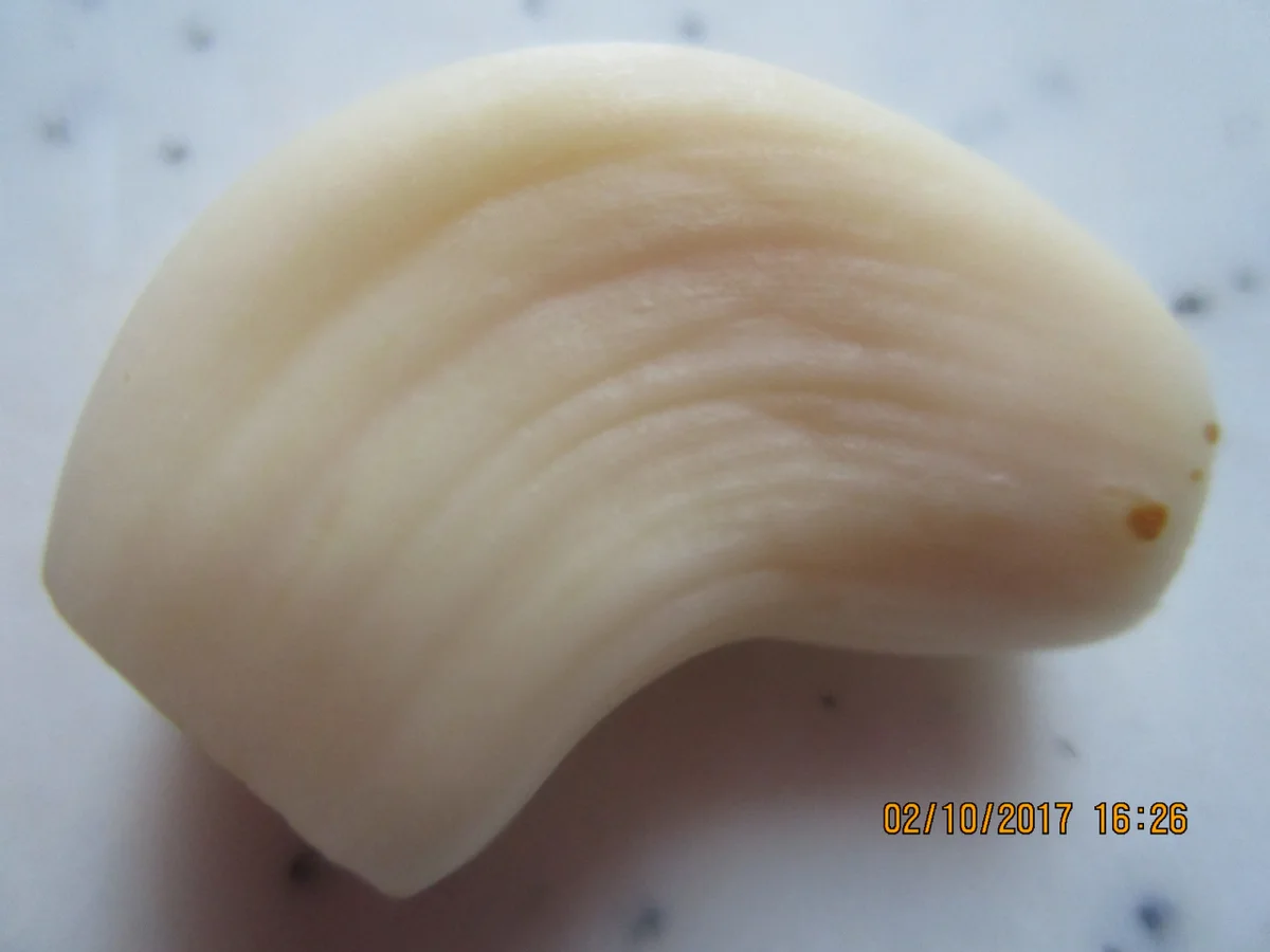 Rezept: Gebratener Zander auf Lauch-Orangenbett Bild Nr. 3925 Gebratener Zander auf Lauch-Orangenbett - Rezept - Bild Nr. 3925