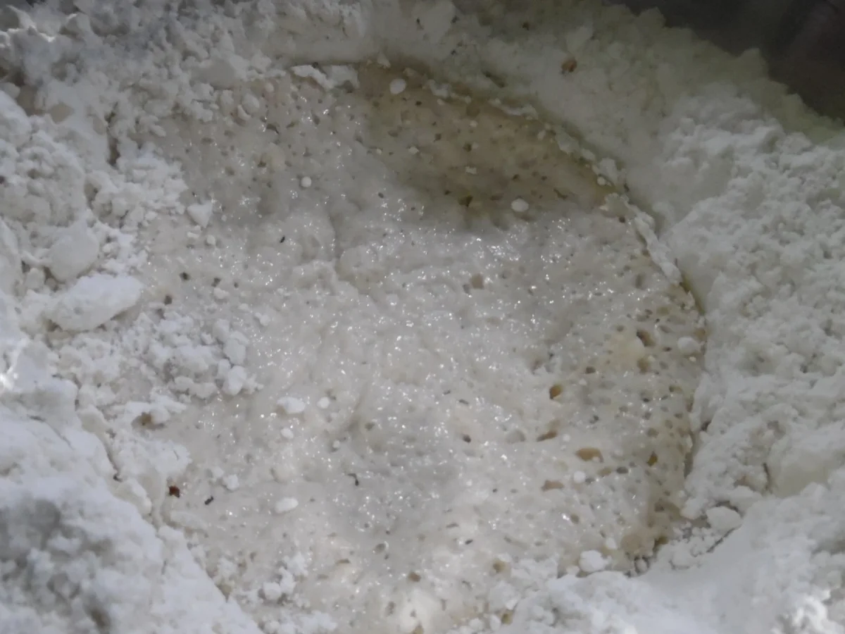 Dinkel-Milchbrötchen - Rezept - Bild Nr. 3945