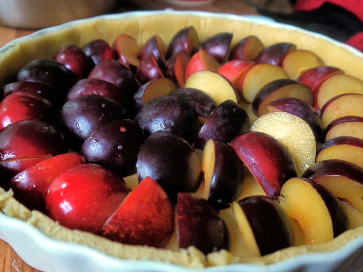 Zwetschgentarte - Rezept - Bild Nr. 3973