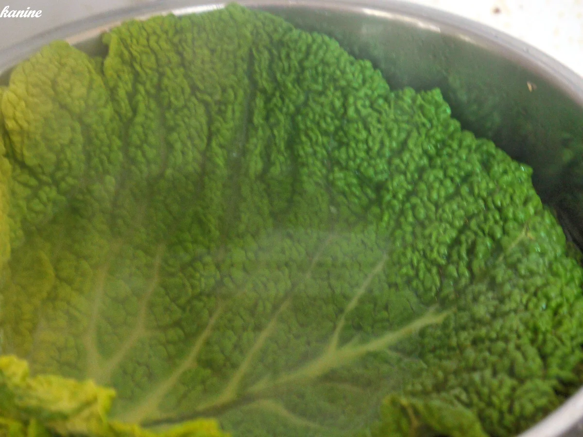 Rezept: gefüllter Wirsing, Selleriepüree, Zwiebelsauce Bild Nr. 3980 gefüllter Wirsing, Selleriepüree, Zwiebelsauce - Rezept - Bild Nr. 3980