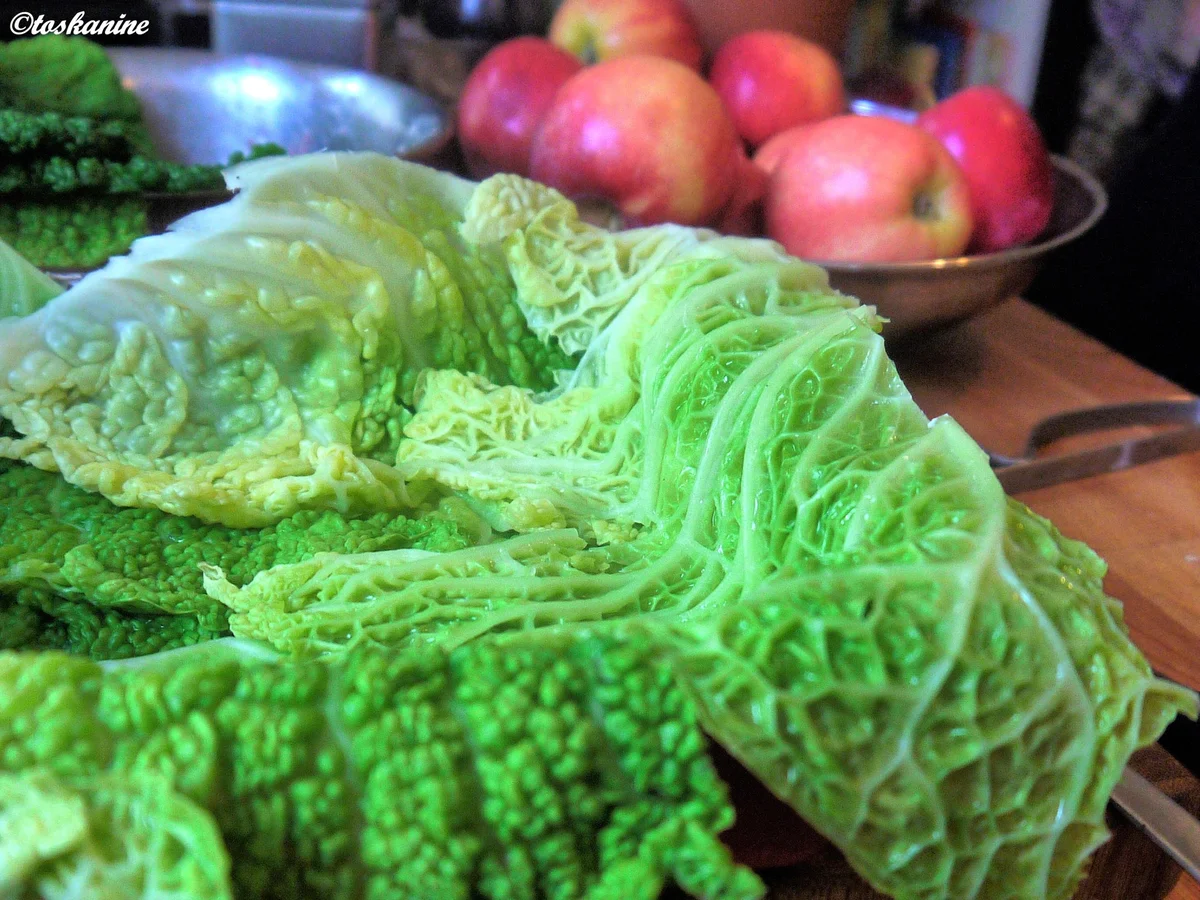 Rezept: gefüllter Wirsing, Selleriepüree, Zwiebelsauce Bild Nr. 3982 gefüllter Wirsing, Selleriepüree, Zwiebelsauce - Rezept - Bild Nr. 3982