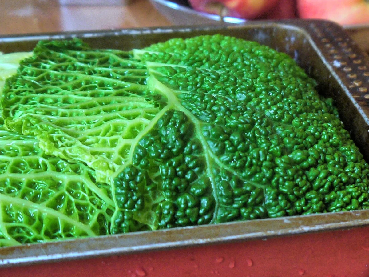 Rezept: gefüllter Wirsing, Selleriepüree, Zwiebelsauce Bild Nr. 3984 gefüllter Wirsing, Selleriepüree, Zwiebelsauce - Rezept - Bild Nr. 3984