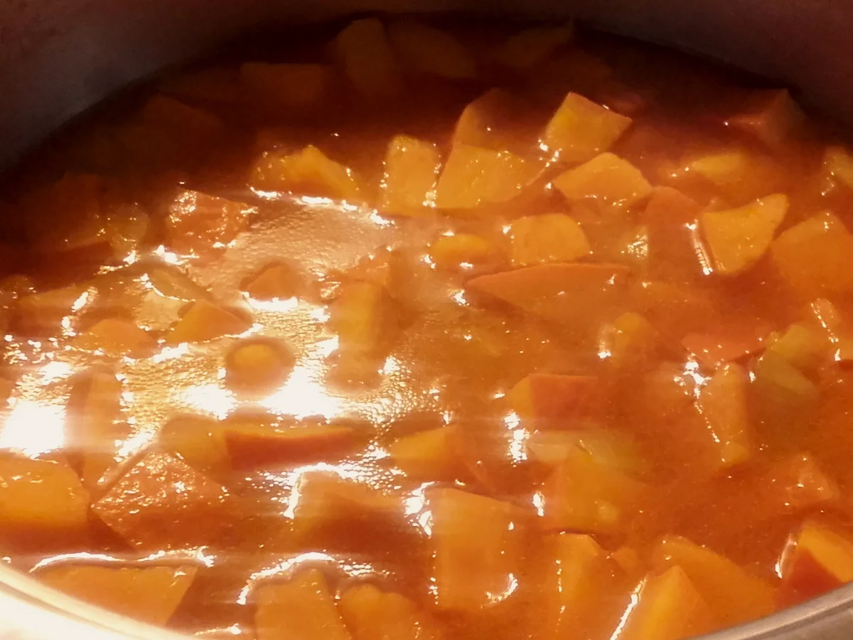 Rezept: Fruchtige Kürbis - Creme - Suppe Bild Nr. 3986 Fruchtige Kürbis - Creme - Suppe - Rezept - Bild Nr. 3986