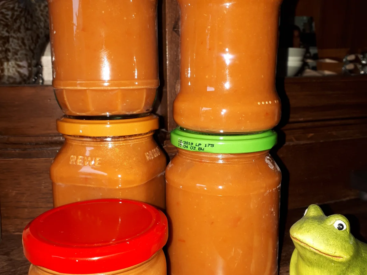 Vorrat: Gemüsesoße Mexican Style - Rezept - Bild Nr. 4006