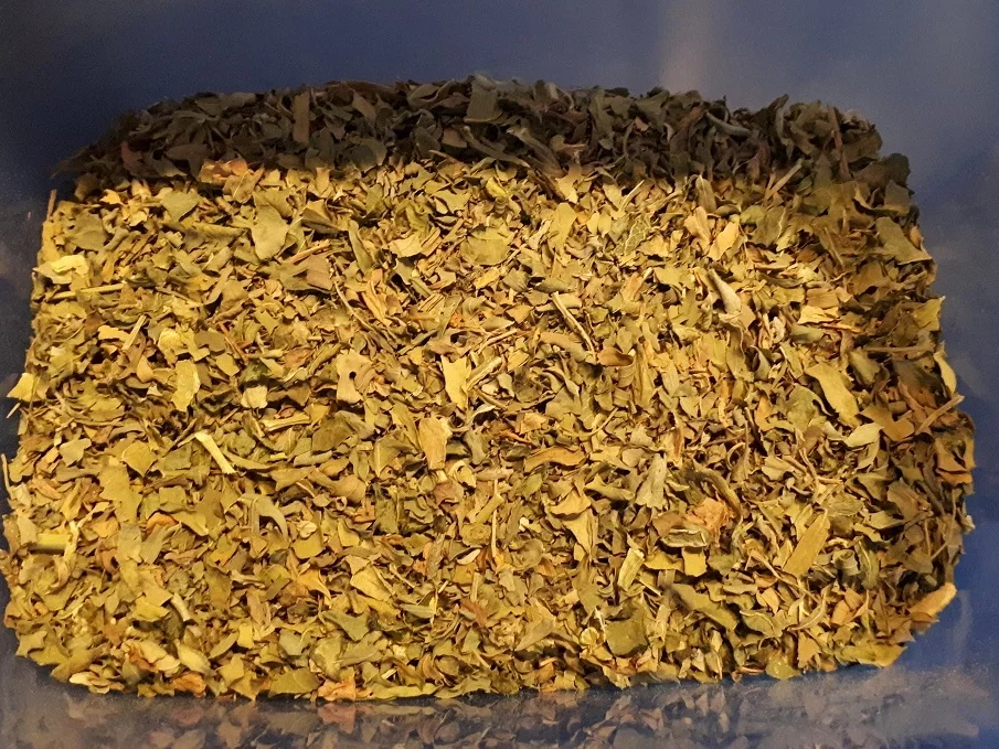 indisch: Soja-Curry - Rezept - Bild Nr. 4063